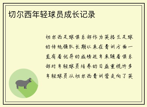 切尔西年轻球员成长记录