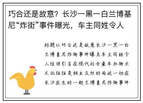 巧合还是故意？长沙一黑一白兰博基尼“炸街”事件曝光，车主同姓令人惊讶