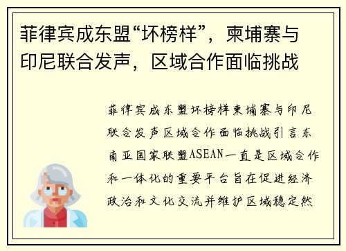 菲律宾成东盟“坏榜样”，柬埔寨与印尼联合发声，区域合作面临挑战
